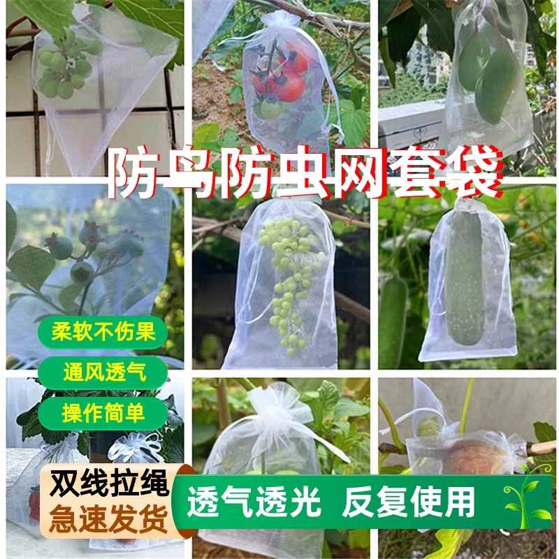 水果套袋果树防鸟防虫网袋火龙果葡萄无花果石榴保护桃子袋青瓜