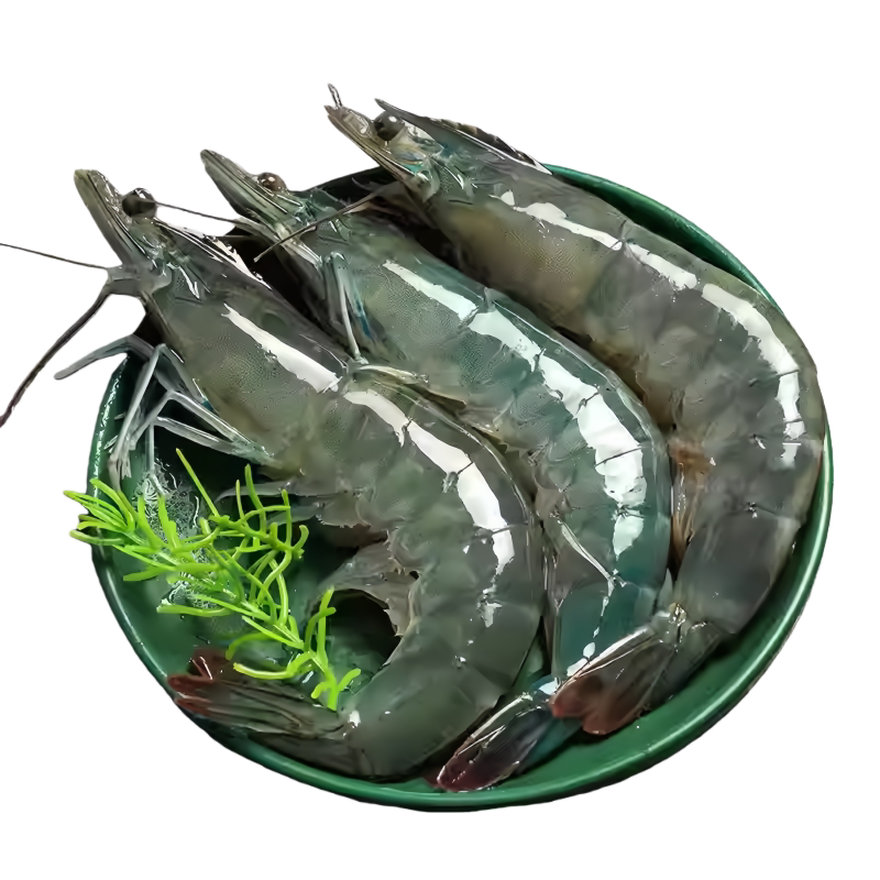 青岛特大速冻虾整箱批发