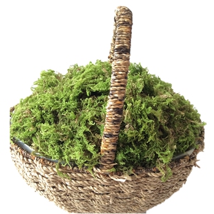 纯天然森林干苔藓乌龟仓鼠运输筑巢挖掘垫材干水苔蝴蝶兰花专用土