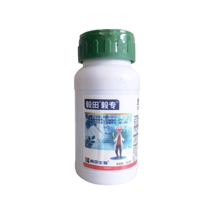 金龟子绿僵菌豇豆蓟马杀虫剂农药