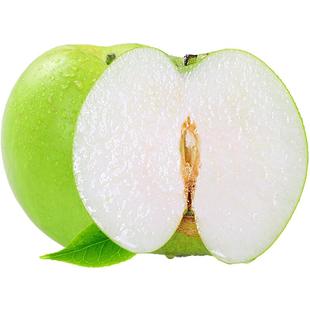 梨子新鲜水果砀山青梨皇冠梨当季翠冠梨香酥脆蜜早雪梨整箱包邮