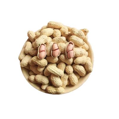 饱满河南带壳生花生新货白沙果