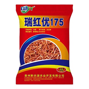 矮杆原装杂交红米水稻种子瑞红优175长粒特色红米水稻1斤装/袋
