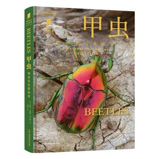 甲虫鞘翅目征服地球 普林斯顿大学生物图鉴 中国国家地理图书甲虫昆虫自然科普读物