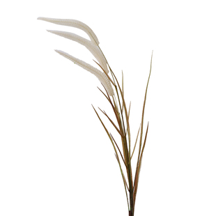 芦苇草仿真花束植物假花摆件轻奢仿生花客厅高端摆花装饰花卉干花