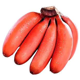 正宗广西红美人香蕉banana当季新鲜水果整箱10斤自然熟红蕉香蕉