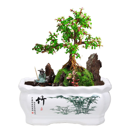 长方形花盆陶瓷创意个性特大号清仓特价带托盘家用绿萝多肉花盆