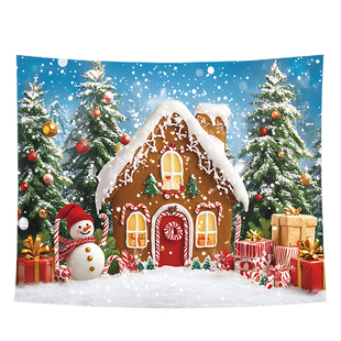 ins风圣诞挂布出租屋节日装饰挂墙布氛围感拍照墙面背景布海报布