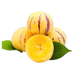 糖尿人能吃扛糖水果人参果适合糖友小糖人中老年人吃的水果