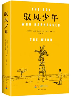 正版包邮 驭风少年 电影驭风男孩 原著  纽约时报推荐  出版人周刊年度图书