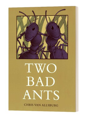 英文原版 Two Bad Ants 两只坏蚂蚁 精装绘本 英文版 进口英语原版书籍