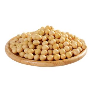 5斤东北黄豆10斤大豆非转基因打豆浆生豆芽当季新豆1/2/5/10斤