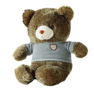 抱抱熊泰迪熊穿衣熊1.6米大号公仔刺猬熊生日礼物毛绒玩具包邮