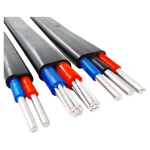 国标2芯3芯电缆线铝芯家用户外电线2.5 4 6 10 16 25平方铝线护套