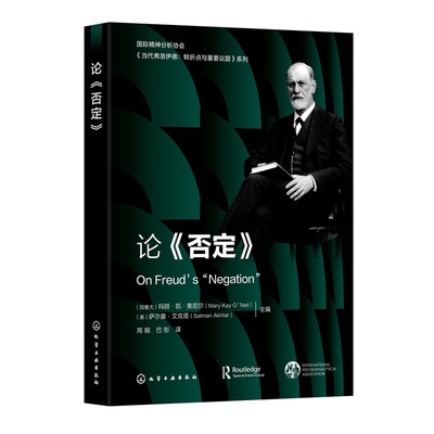 精神分析家解读弗洛伊德第四辑