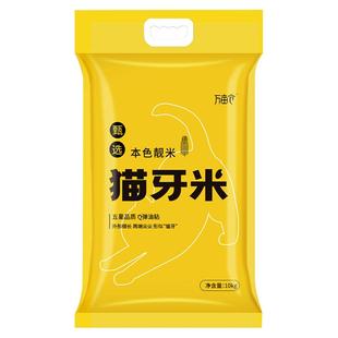 2025年新米!万亩仓猫牙米长粒米大米籼米10kg20斤当季新米丝苗米
