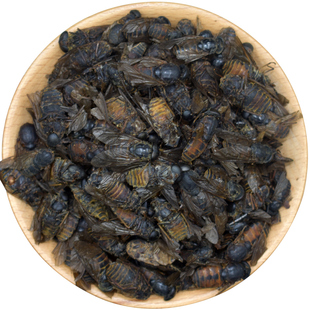 牛虻中药材50克 牛虻药 精选大个牛虻虫  绝不掺假 牛虻药材正品