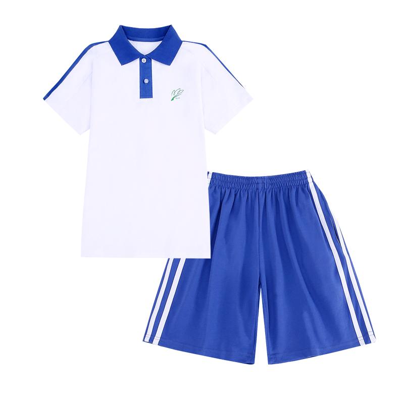 深圳校服中学生特版薄款初中生夏季校服短袖短裤长裤外套运动套装