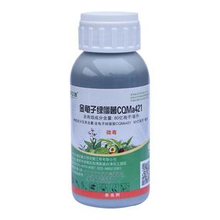 聚立信80亿孢子/毫升金龟子绿僵菌CQMa421稻飞虱杀虫剂