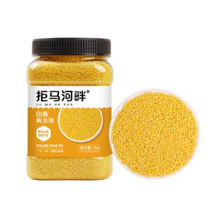 正宗黄小米新米农家5斤小黄米粮食山西糯小米粥五谷杂粮旗舰店