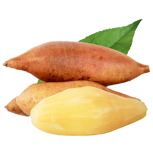 云南脆甜天山红泥沙黄心雪莲果现挖新鲜应季水果带箱10斤中果包邮