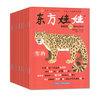 0-8岁儿童杂志小聪仔科普/幼儿/婴儿版/东方娃娃绘本版/创意美术版/智力版/宝宝绘本幼儿画报百科科学智力开发启蒙非过刊杂志