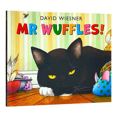 英文原版 Mr Wuffles! 黑猫大战外星人 2014年凯迪克银奖绘本 David Wiesner 英文版儿童图书