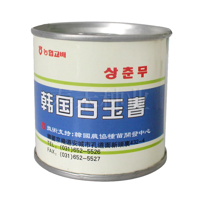 韩国白玉春白萝卜种子蔬菜种籽孑秋季水果四季阳台盆栽庭院籽种孑