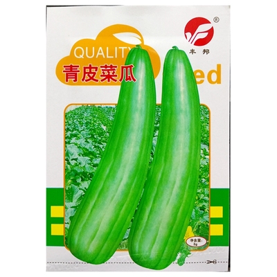 菜瓜青绿皮生瓜角瓜种子3克