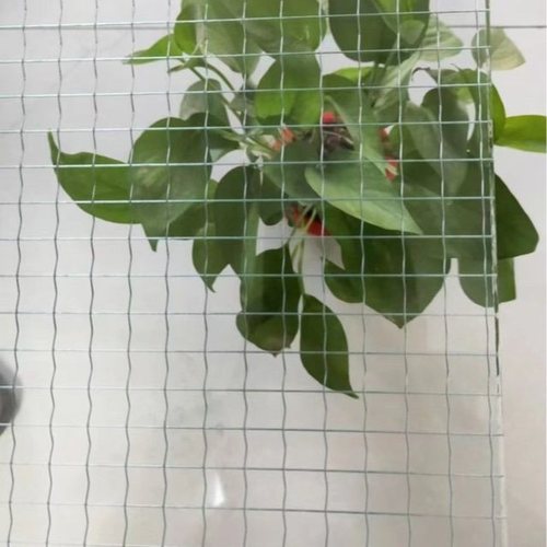 源头厂家生产防火防盗防爆夹丝玻璃香梨夹丝夹丝挡烟垂玻璃高安全