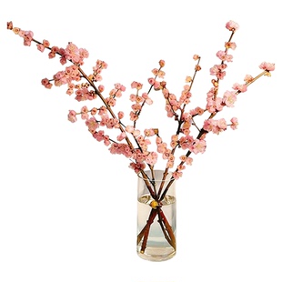 水培植物鲜切桃花枝鲜花云南基地直发家用插花干枝室内水养鲜花卉