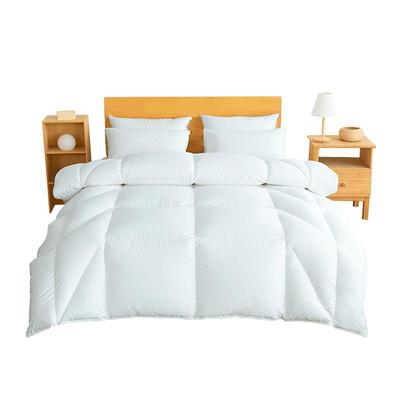 interlagos日本冬季加厚羽绒被