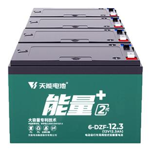 天能电池能量+2代系列12ah21ah铅酸蓄电池二轮三轮车石墨烯技术
