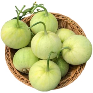 赣新甜王甜宝甜瓜种子 酥脆香日本甜宝香瓜种子籽抗病耐雨水高温