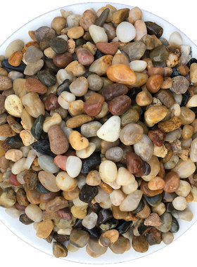 50斤小鹅卵石沼泽过滤豆石五彩石头石子鱼缸花盆雨花石滤料地暖石