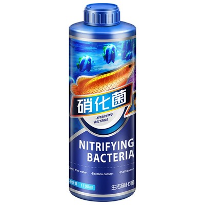 疯狂水草硝化细菌净化水质