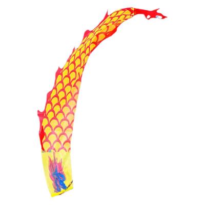 舞龙彩带健身龙儿童专用