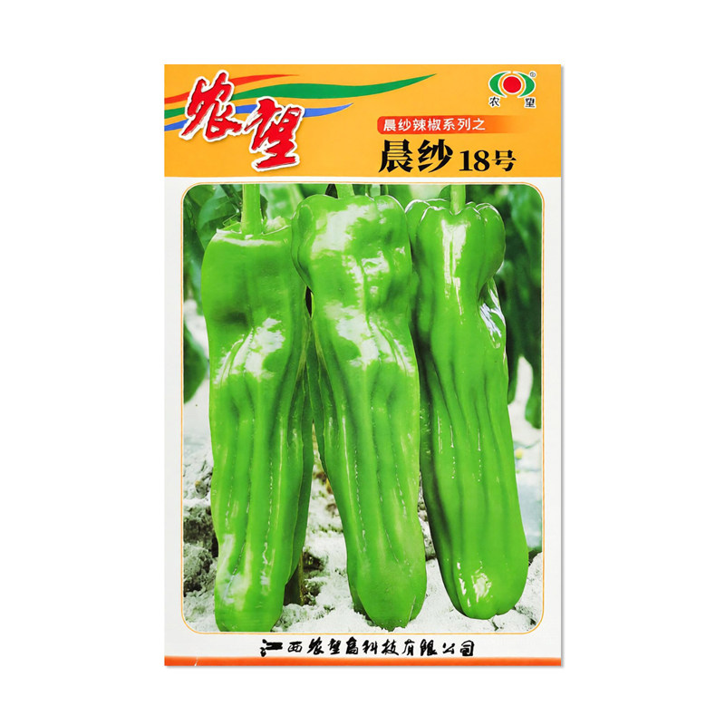 农望晨纱18号辣椒种子