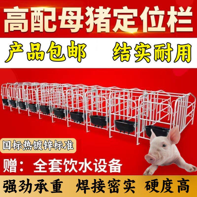 母猪地面猪用加厚限位栏养猪场设备地面猪圈围栏漏粪板设备