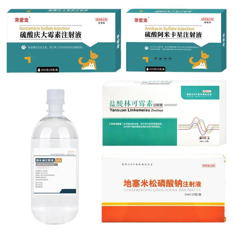 感冒肺炎打喷嚏流鼻涕咳雾化药