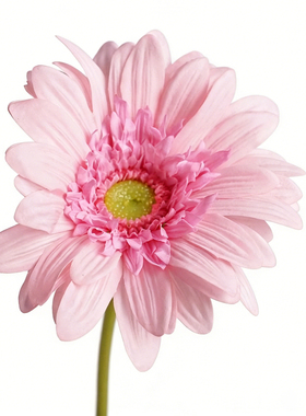 手感保湿非洲菊仿真花餐桌摆件