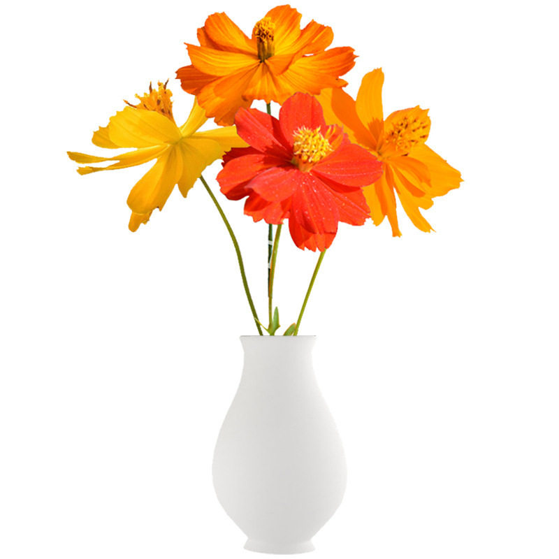 硫化菊种子黄波斯菊黄秋英耐贫瘠乡村花海景区四季种绿化花海花籽