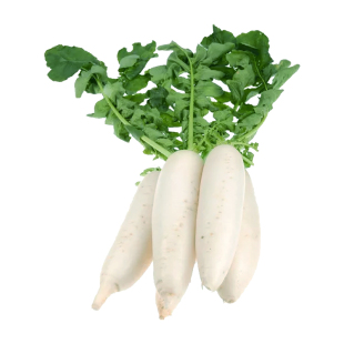 兰溪小萝卜种子种籽腌制咸菜专用小白萝卜拇指萝卜农家蔬菜孑籽种