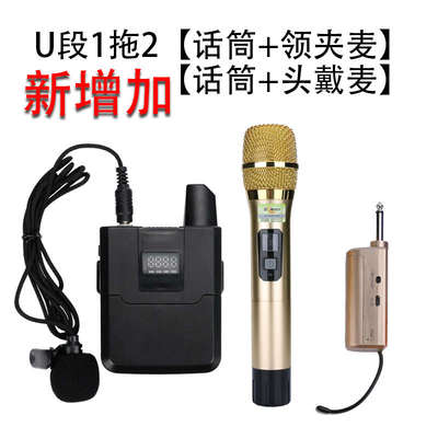 万能无线一拖二会议专用演出话筒麦克风户外唱歌通用对频带接收器