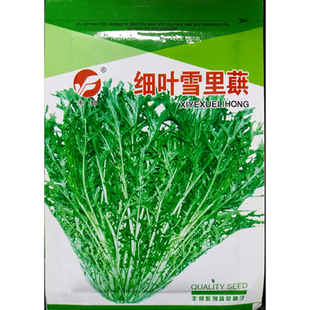 细叶雪里蕻种子耐寒雪菜小叶碎叶雪里红种籽芥菜蔬菜10克2500粒