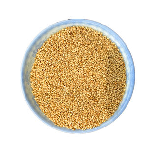 河南农家下单现炒免洗无沙 熟白芝麻粒500克 非黑芝麻 免费磨粉