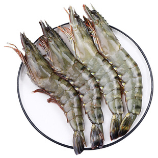 黑虎虾鲜活超大速冻斑节虾大虾鲜活冷冻特大号进口大虾海鲜礼盒装