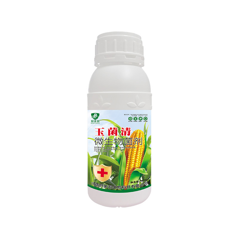 玉菌清玉米专用锈斑顶腐茎基腐叶斑快速复壮提高抗性提高免疫增产