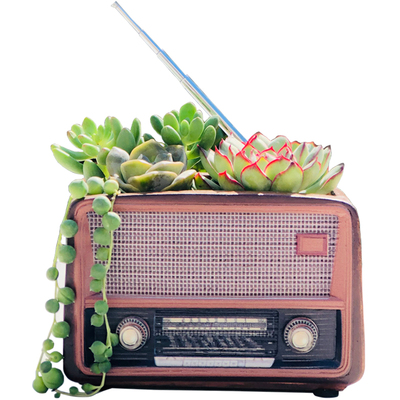 复古树脂创意包邮盆栽怀旧多肉