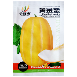 黄金蜜甜瓜种子薄皮黄皮香瓜春季阳台盆栽庭院农家作物蔬菜种植籽